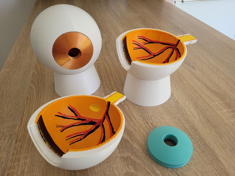 Maquette_oeil_humanlab